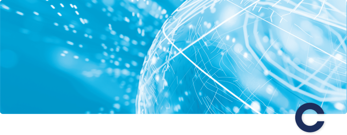The CISM Domains: A Closer Look