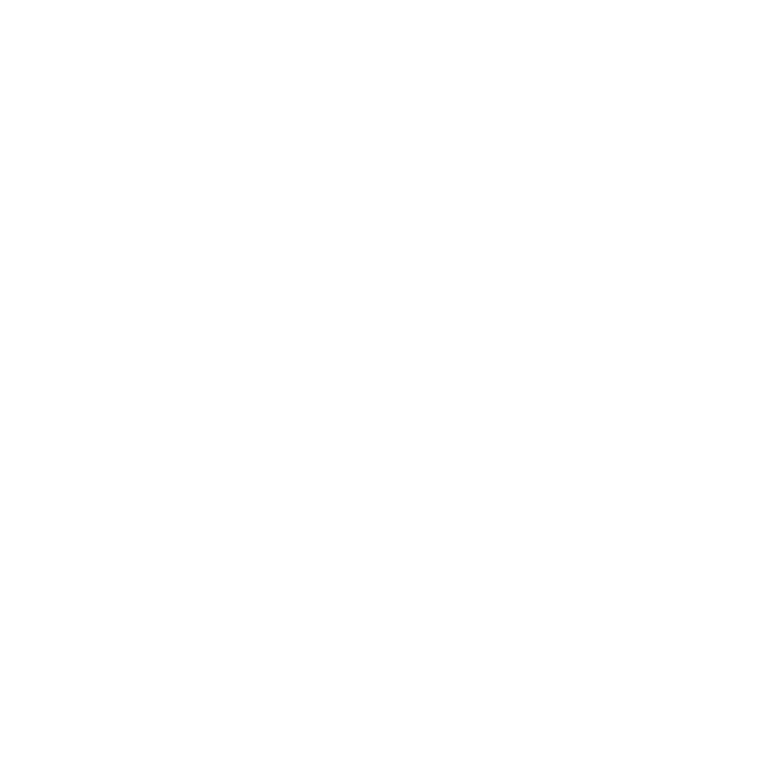 Cisco Partner logo
